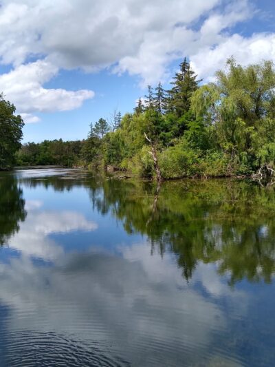 Bond Lake Park - Ransomville, NY