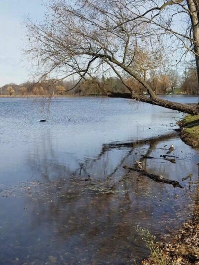 Bond Lake Park - Ransomville, NY