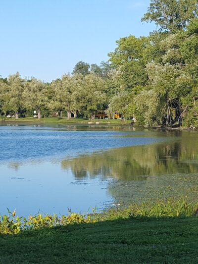 Bond Lake Park - Ransomville, NY