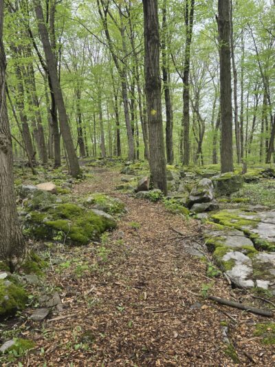 Bond Lake Park - Ransomville, NY