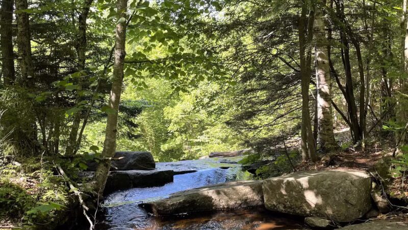 Death Brook Falls - Raquette Lake, NY