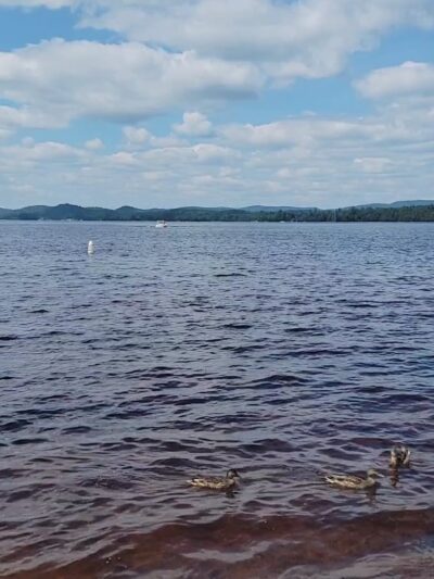Golden Beach Campground - Raquette Lake, NY