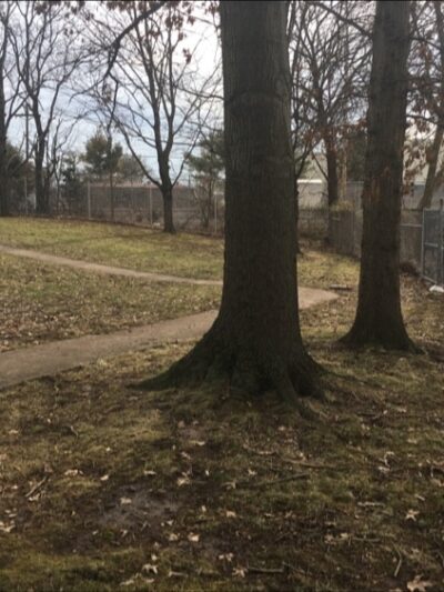 Raritan Dog Park - Raritan, NJ