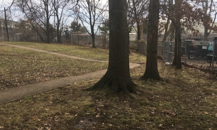 Raritan Dog Park - Raritan, NJ