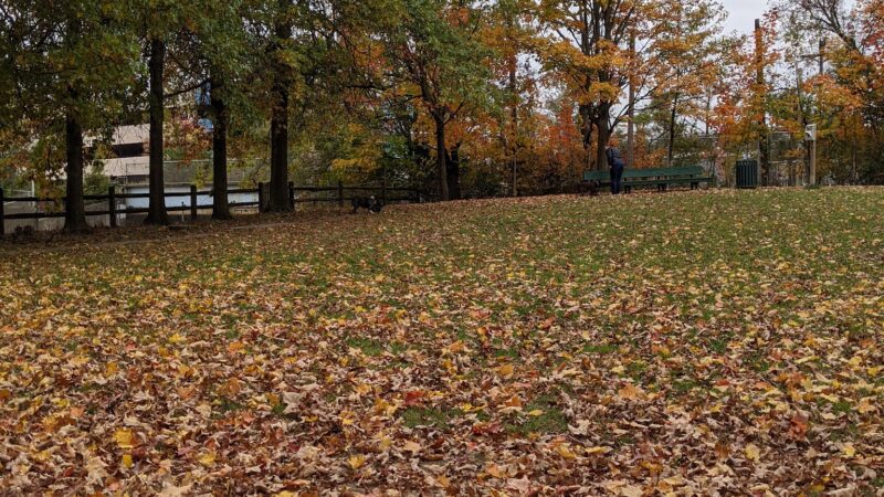 Raritan Dog Park - Raritan, NJ