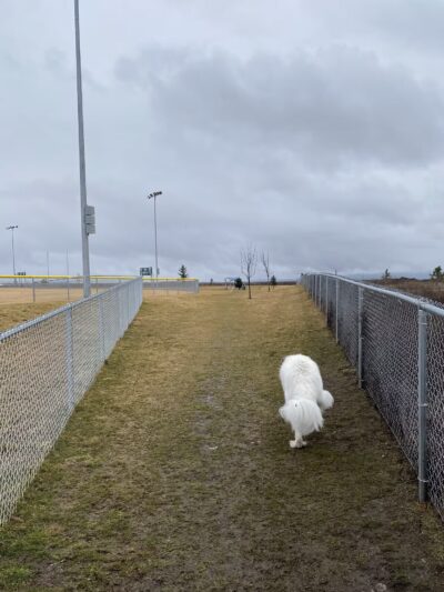 Rathdrum Dog Park - Rathdrum, ID
