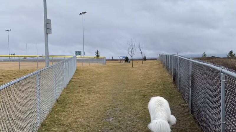 Rathdrum Dog Park - Rathdrum, ID