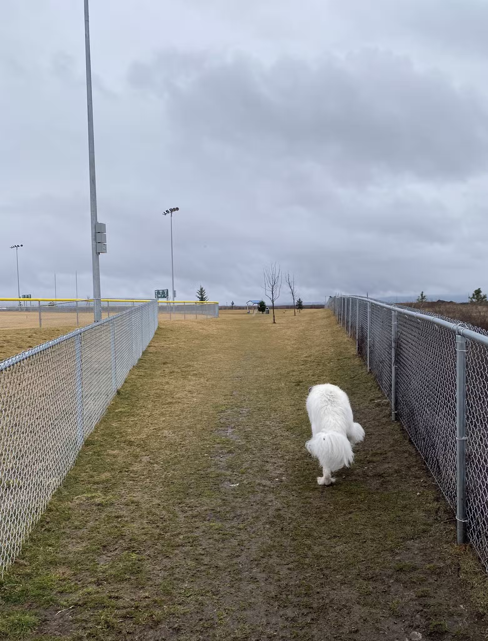 Rathdrum Dog Park - Rathdrum, ID