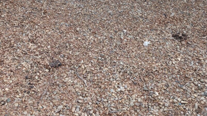 Dog park - Raton, NM