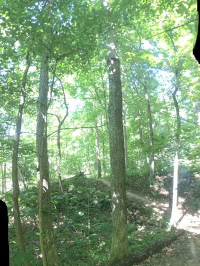 Kevin Clegg Trail System - Ravenswood, WV