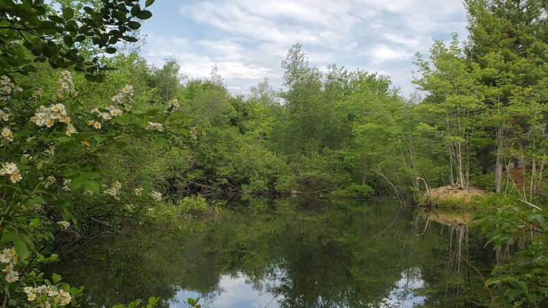 Riverside Park - Raymond, NH
