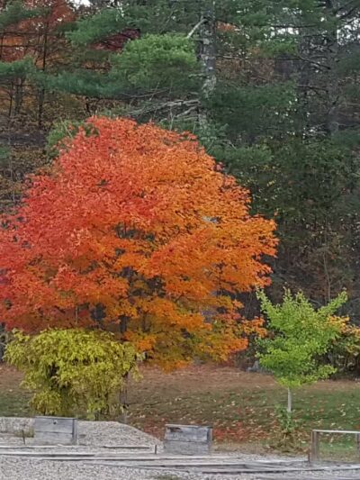 Riverside Park - Raymond, NH
