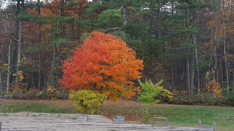 Riverside Park - Raymond, NH