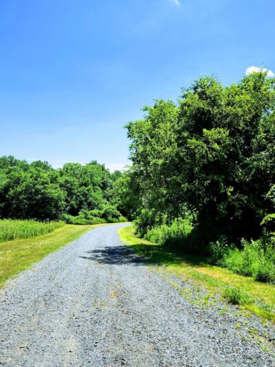 Poricy Park Walking Trails - Red Bank, NJ