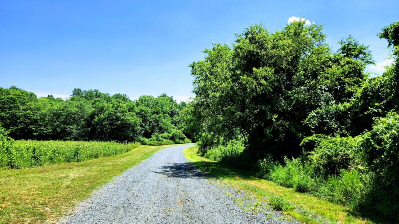 Poricy Park Walking Trails - Red Bank, NJ
