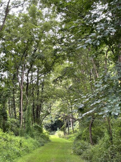 Poricy Park Walking Trails - Red Bank, NJ