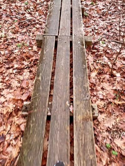 Poricy Park Walking Trails - Red Bank, NJ