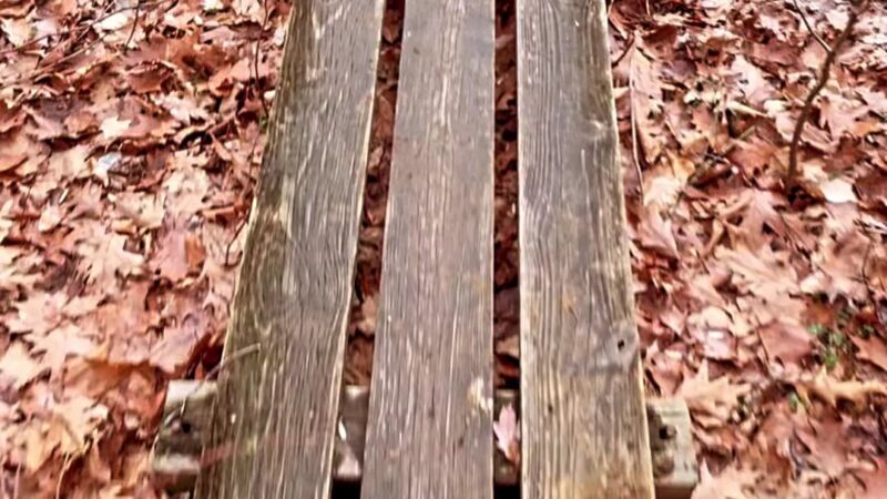 Poricy Park Walking Trails - Red Bank, NJ