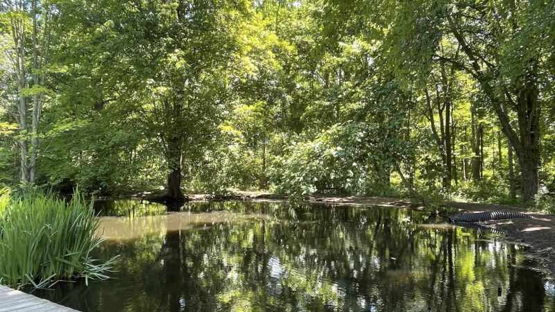 Poricy Park Walking Trails - Red Bank, NJ