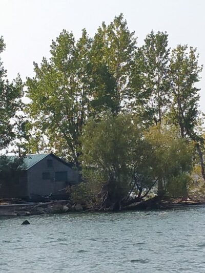 Lake Shore Marshes Wildlife Management Area - Red Creek, NY