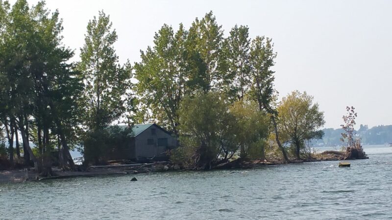 Lake Shore Marshes Wildlife Management Area - Red Creek, NY