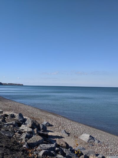 Lake Shore Marshes Wildlife Management Area - Red Creek, NY