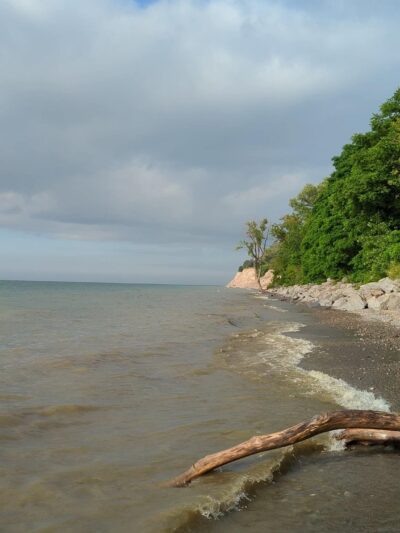 Lake Shore Marshes Wildlife Management Area - Red Creek, NY