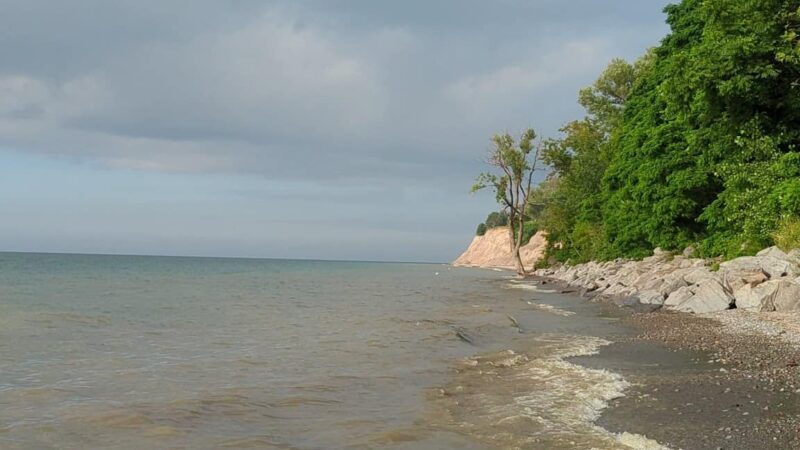 Lake Shore Marshes Wildlife Management Area - Red Creek, NY
