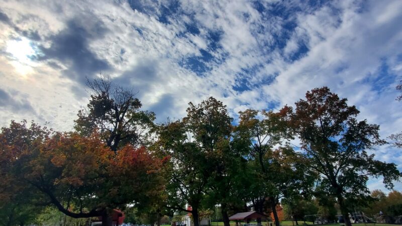 Red Hill Park - Red Hill, PA