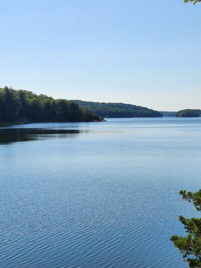 Centennial Watershed State Forest - Redding, CT