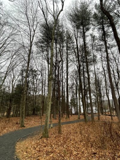 Centennial Watershed State Forest - Redding, CT