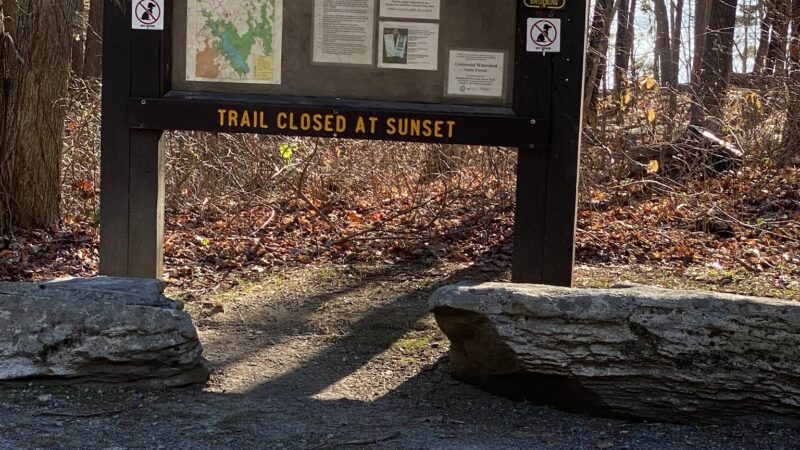 Centennial Watershed State Forest - Redding, CT