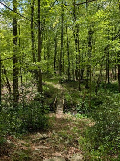 Centennial Watershed State Forest - Redding, CT