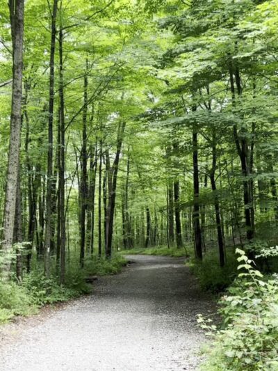 Collis P. Huntington State Park - Sunset Hill Parking - Redding, CT