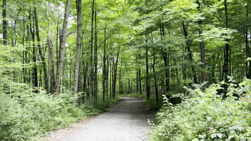 Collis P. Huntington State Park - Sunset Hill Parking - Redding, CT