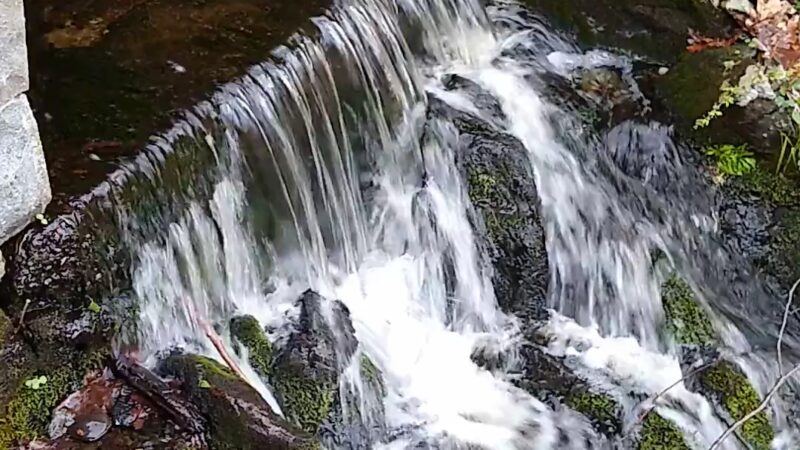 Putnam Memorial State Park - Redding, CT