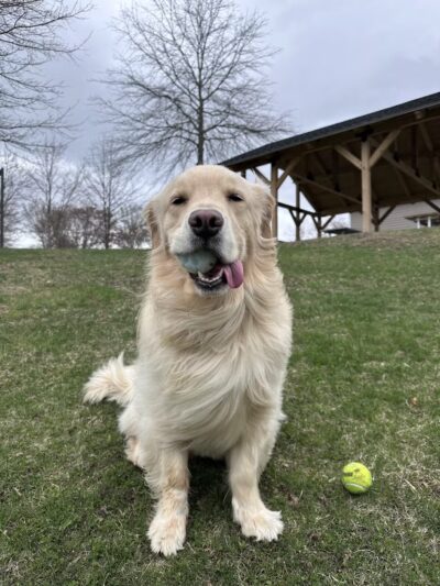 Redding Park and Recreation - Redding, CT