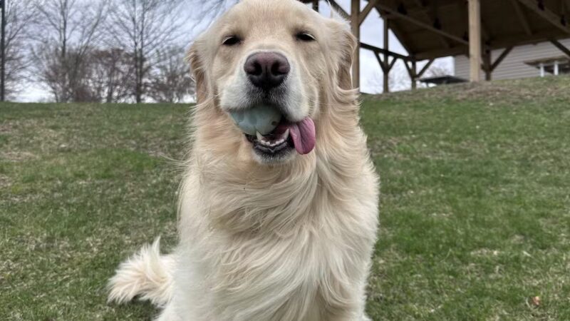 Redding Park and Recreation - Redding, CT