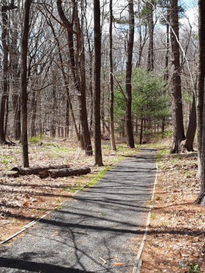 Saugatuck Universal Access Trail - Redding, CT