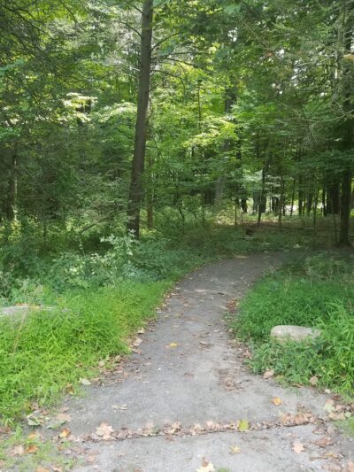 Saugatuck Universal Access Trail - Redding, CT