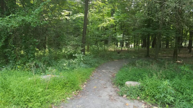 Saugatuck Universal Access Trail - Redding, CT