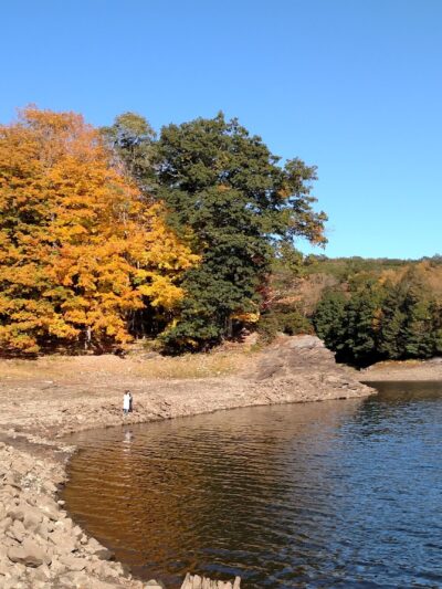 Saugatuck Universal Access Trail - Redding, CT