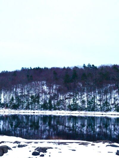 Saugatuck Universal Access Trail - Redding, CT