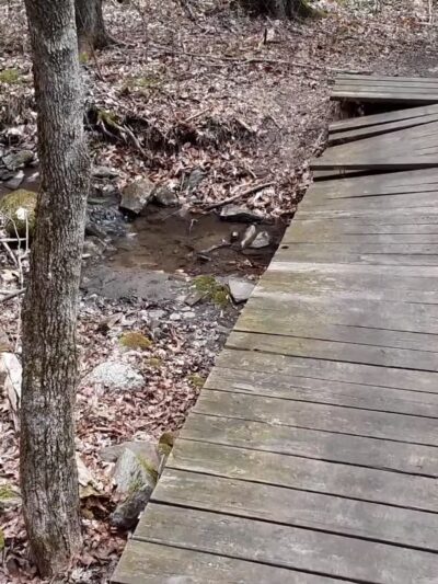 Saugatuck Universal Access Trail - Redding, CT