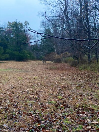 Stormfield - Redding, CT