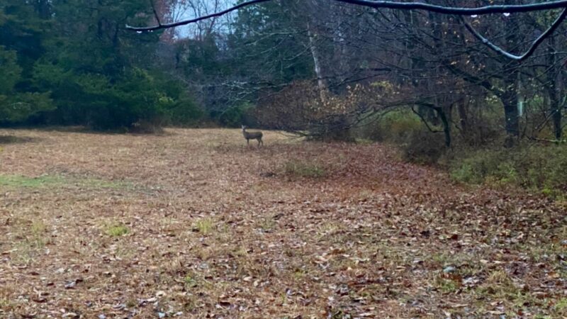 Stormfield - Redding, CT