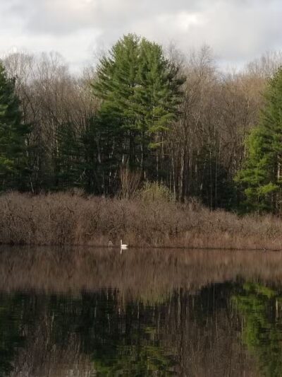 Stormfield - Redding, CT