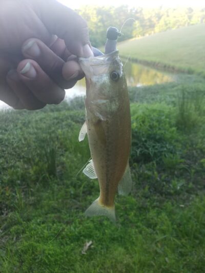 Redfield Ball Park - Redfield, AR