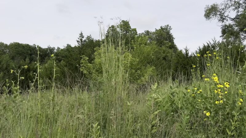 Hanging Rock Park - Redfield, IA
