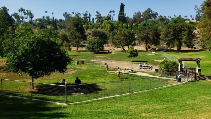 Redlands Dog Park - Redlands, CA